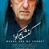 کفشهایم کو؟