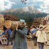 آزاد به قید شرط