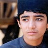 صنوبر  