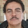 شهراد وثوقی