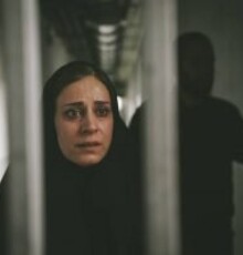 حضور «قصیده گاو سفید» در جشنواره های ادینبورگ و ملبورن