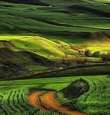 هشدار نسبت به تخریب محیط‌ زیست در یک مستند
