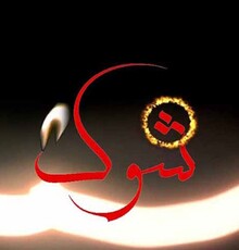 «شوک» با موضوع کلاهبرداری پیامکی، امشب روی آنتن