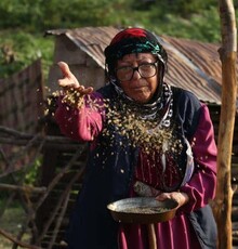 یک فیلم و یک انیمیشن کانون در جشنواره «کینولاب» لهستان