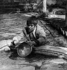 نمایش فیلم‌های تهیه‌کننده‌ «سوته دلان» در فرش فیلم