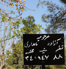 گزارش تصویری از مراسم تشییع آزاده نامداری
