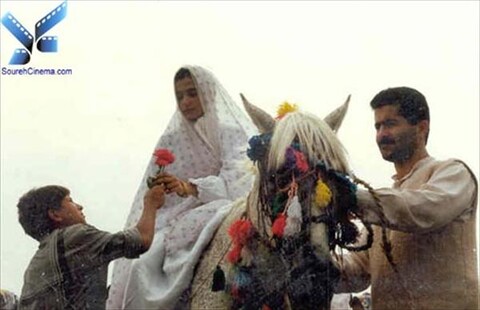 پیشانی سفید  