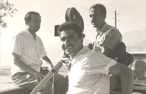 گربه وحشی  