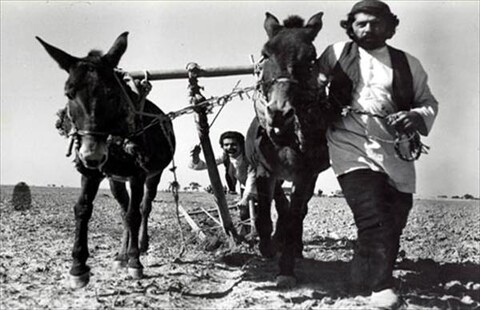 خاک  