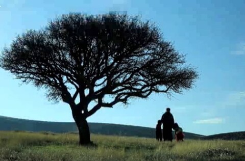 نمایش «بروا» در جشنواره نوستالوژیای ایتالیا