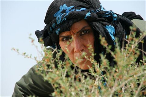 روی خط صفر  