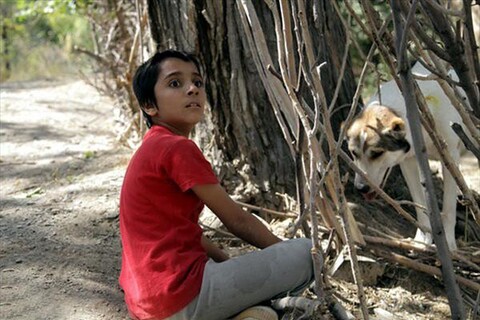 تابستان طولانی  