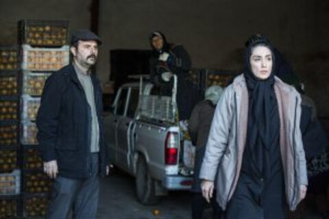 «واسطه» با تغییر نام به «روزهای نارنجی» اکران می‌شود