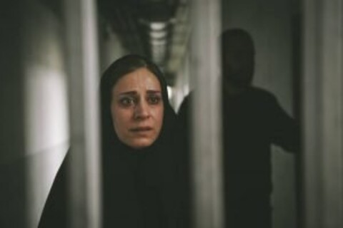 حضور «قصیده گاو سفید» در جشنواره های ادینبورگ و ملبورن
