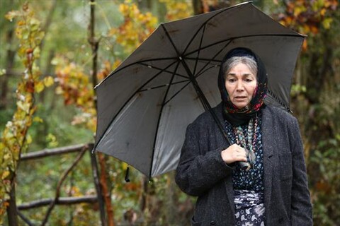 ساکن خانه چوبی  