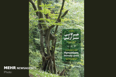 پوستر نمایشگاه عکس «ثبت جهانی جنگل های هیرکانی» رونمایی شد