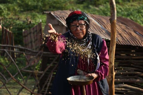 یک فیلم و یک انیمیشن کانون در جشنواره «کینولاب» لهستان