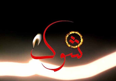 «شوک» با موضوع کلاهبرداری پیامکی، امشب روی آنتن