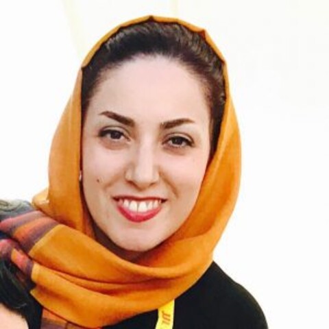 آقای نعمت‌الله، فیلم‌تان را به خانه‌ها ببرید!