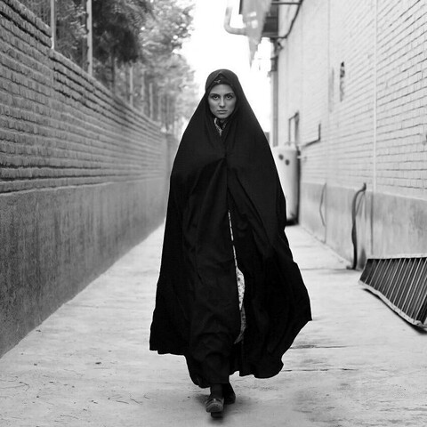 «تاریکی شب، روشنایی روز» به دانشگاه تهران رسید