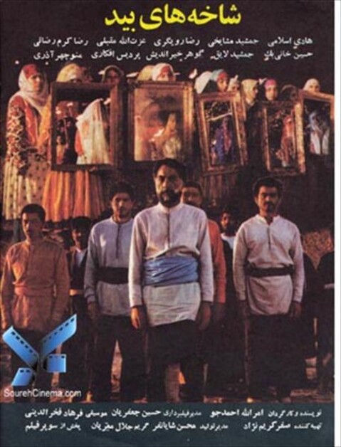 شاخه های بید  
