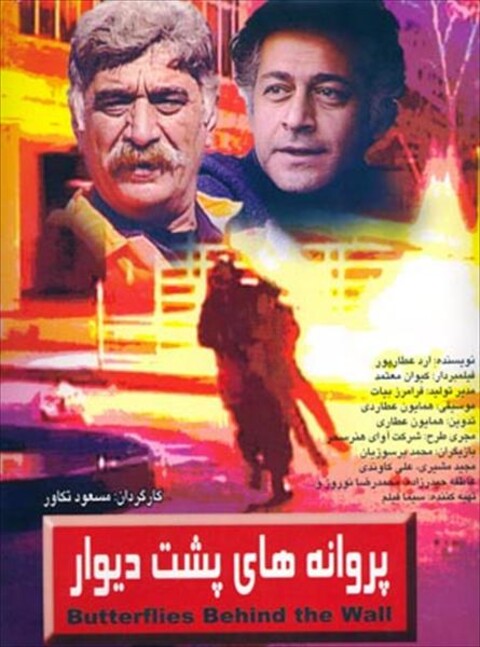 پروانه های پشت دیوار  