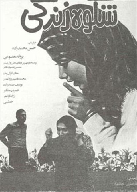 شکوه زندگی  