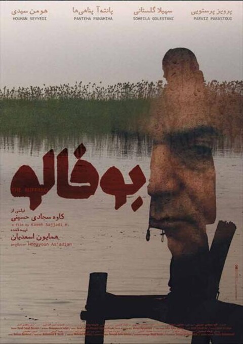 بوفالو