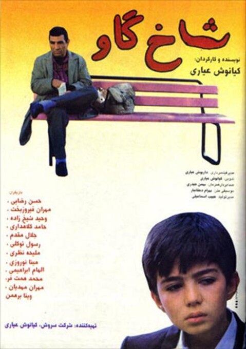 شاخ گاو  