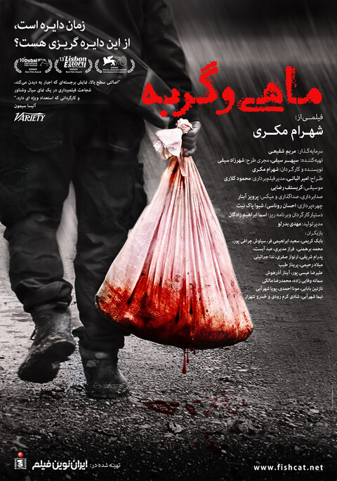 ماهی و گربه  