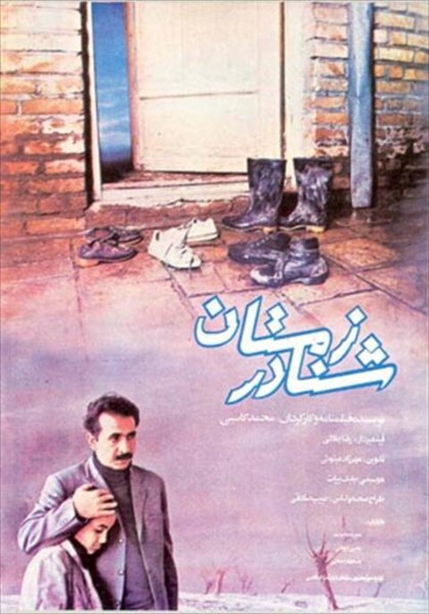 شنا در زمستان  
