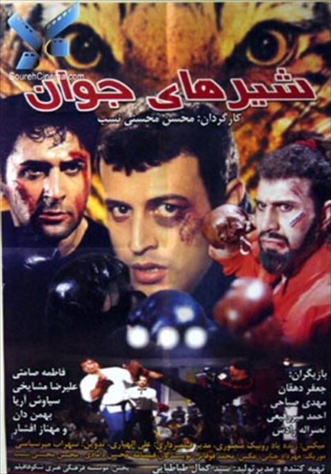 شیرهای جوان  