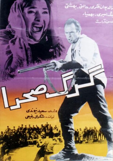 گرگ صحرا  