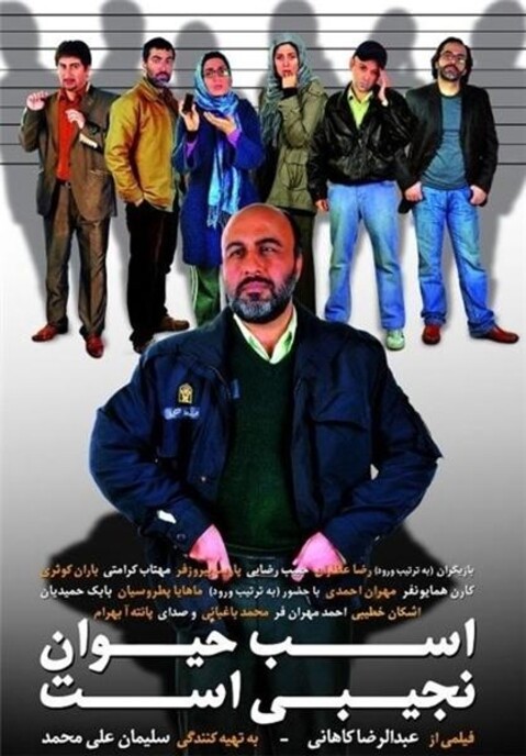 اسب حیوان نجیبی است  