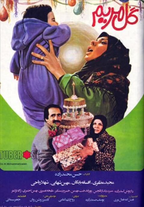 گل مریم  