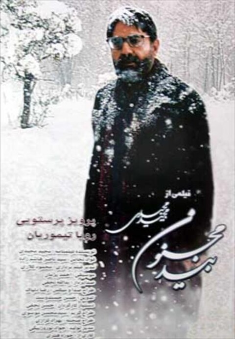 بید مجنون  