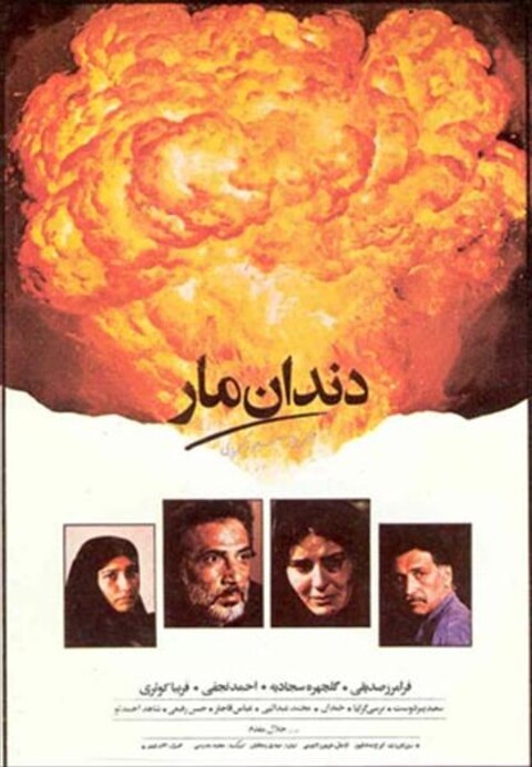 دندان مار  