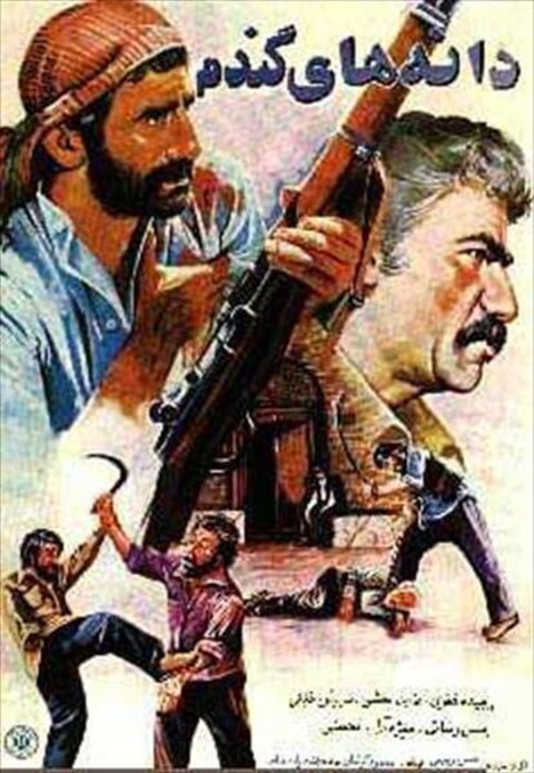 دانه های گندم  