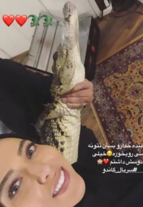 سلفی هیجان انگیز لیلا اوتادی با یک تمساح کوچک