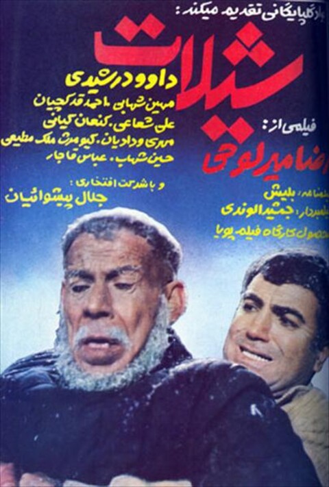 شیلات  
