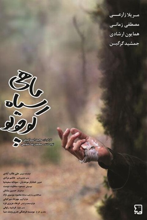 ماهی سیاه کوچولو