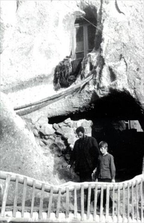 تولد یک پروانه  