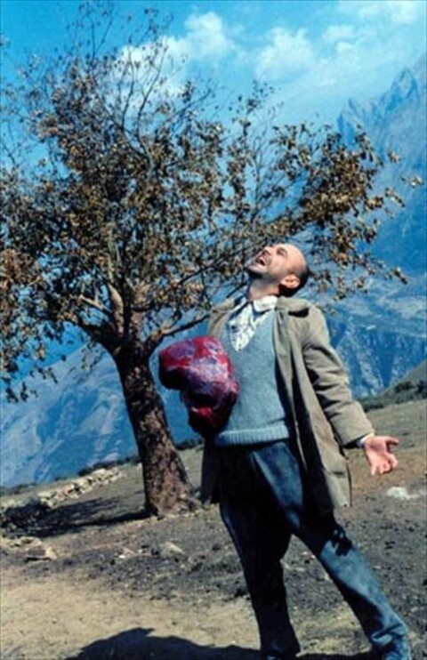 اینجا چراغی روشن است  