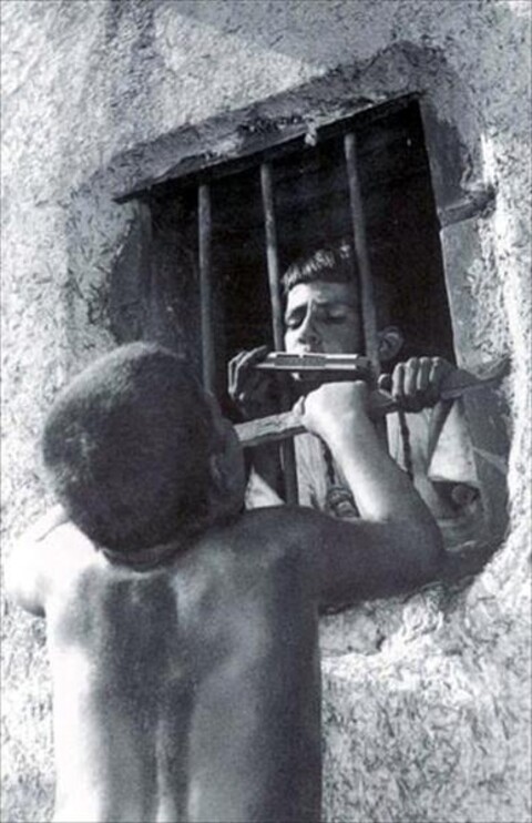 سازدهنی  