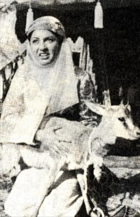 جاده تبهکاران  