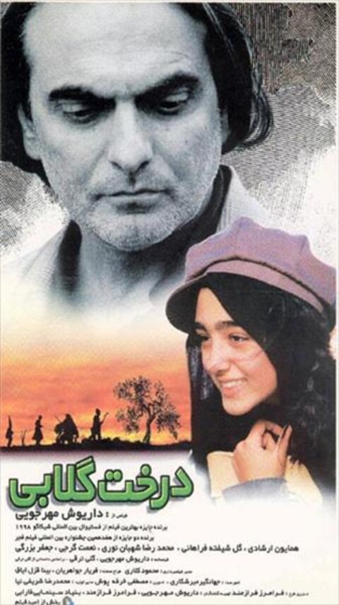 درخت گلابی  