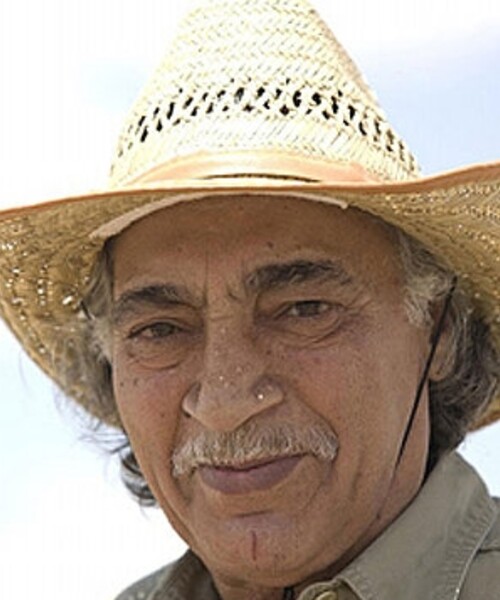 مسعود ولدبیگی